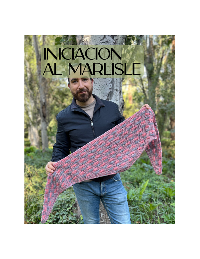 Málaga: taller iniciación...